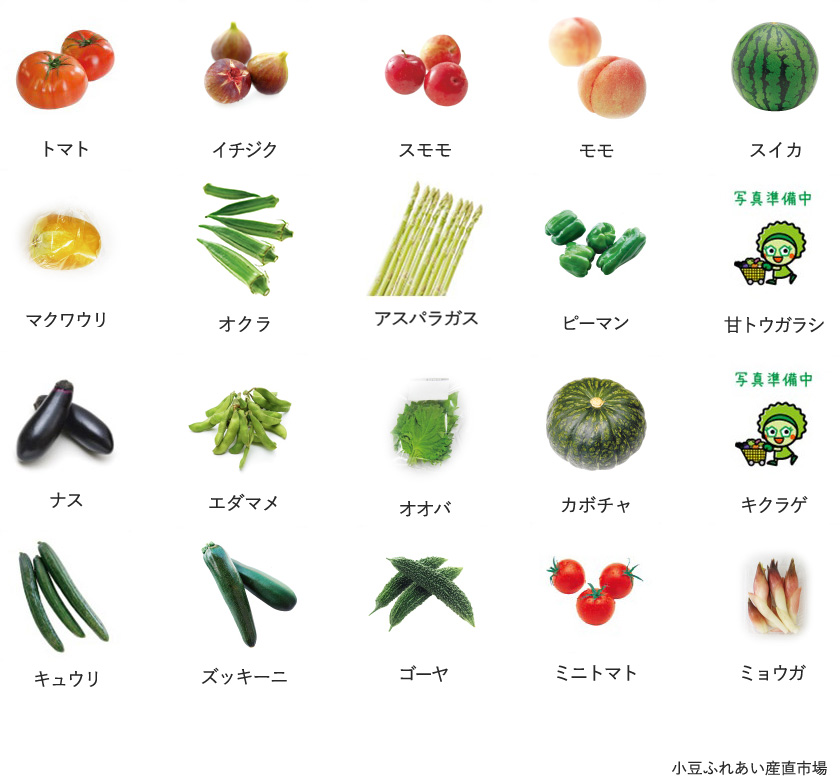 旬の農産物