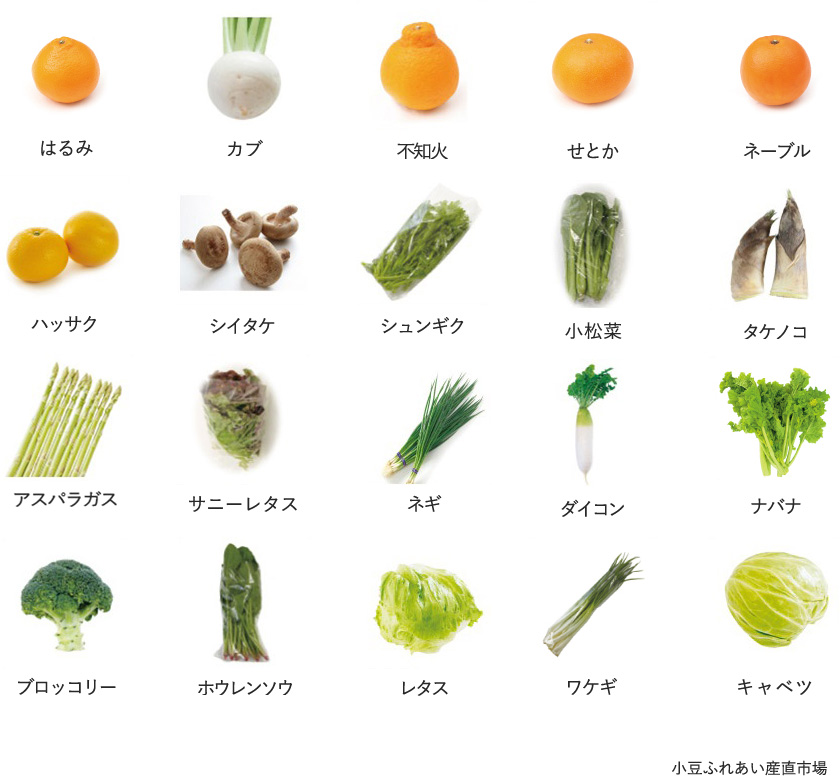 旬の農産物