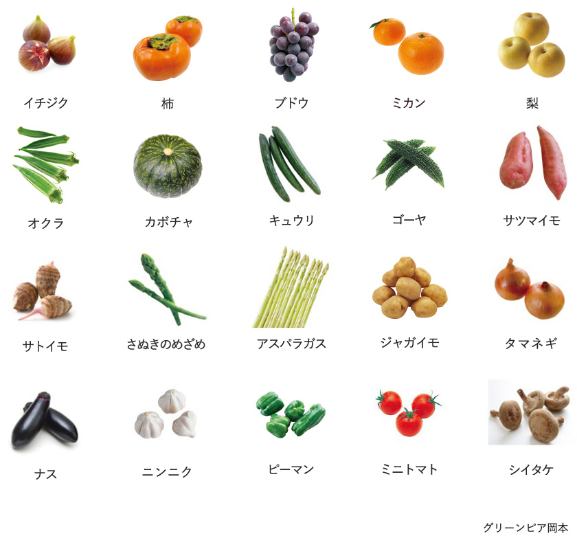 旬の農産物