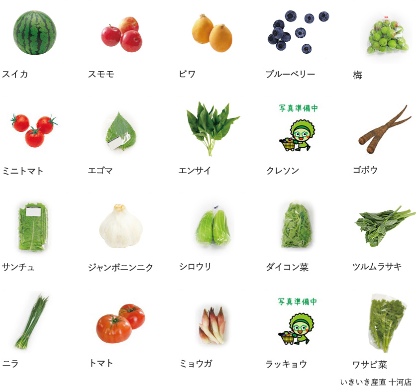 旬の農産物