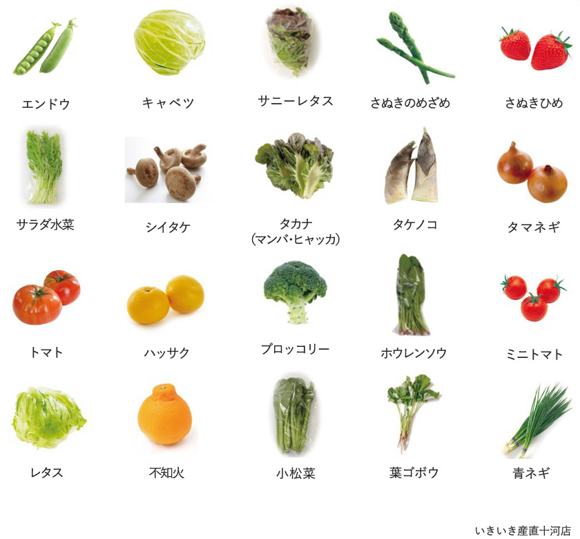 旬の農産物