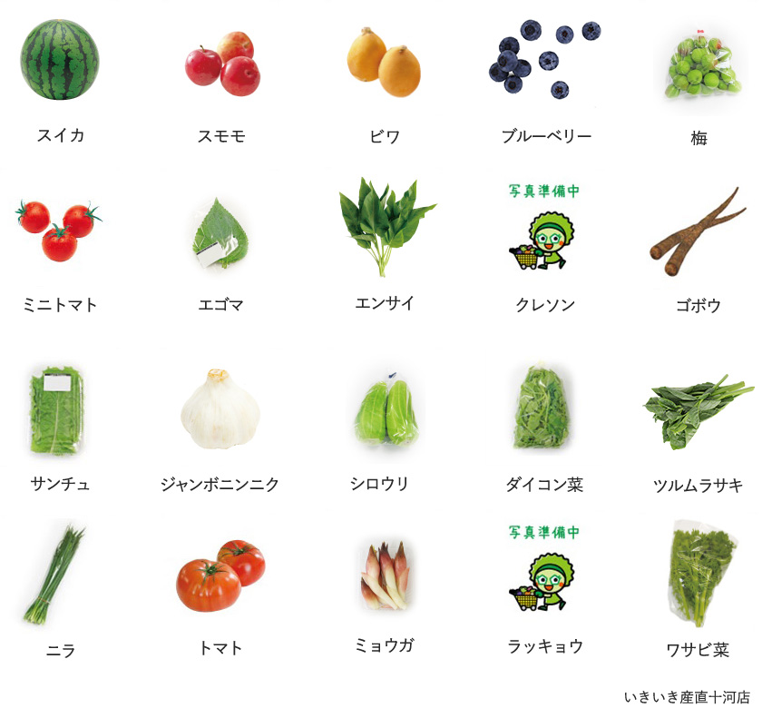 旬の農産物