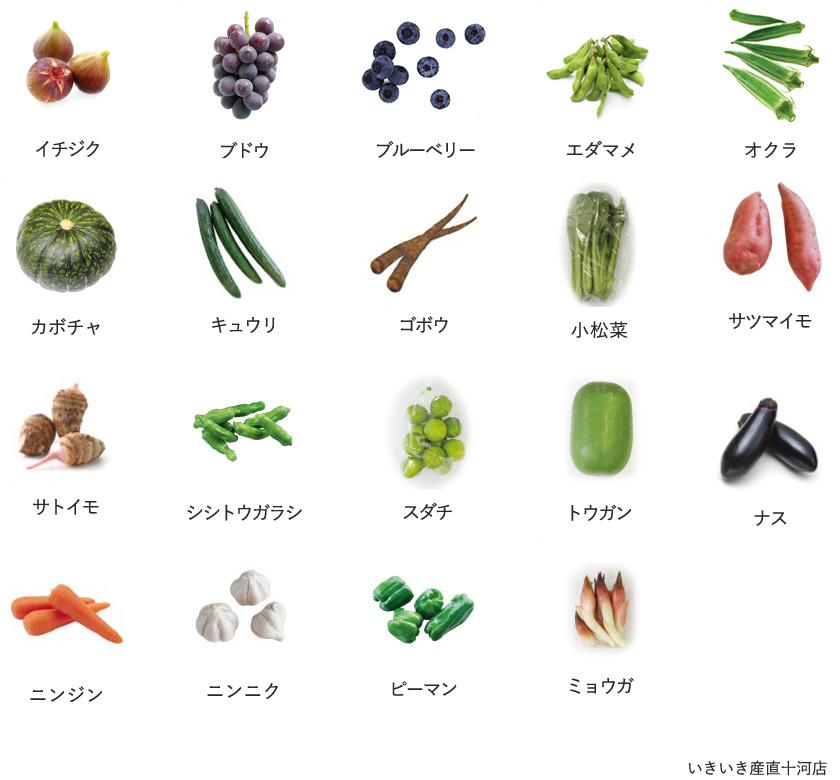 旬の農産物