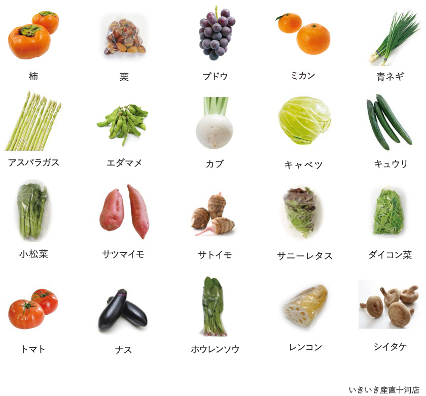 旬の農産物