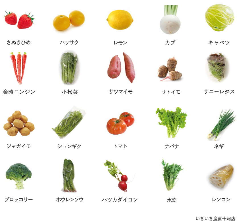 旬の農産物