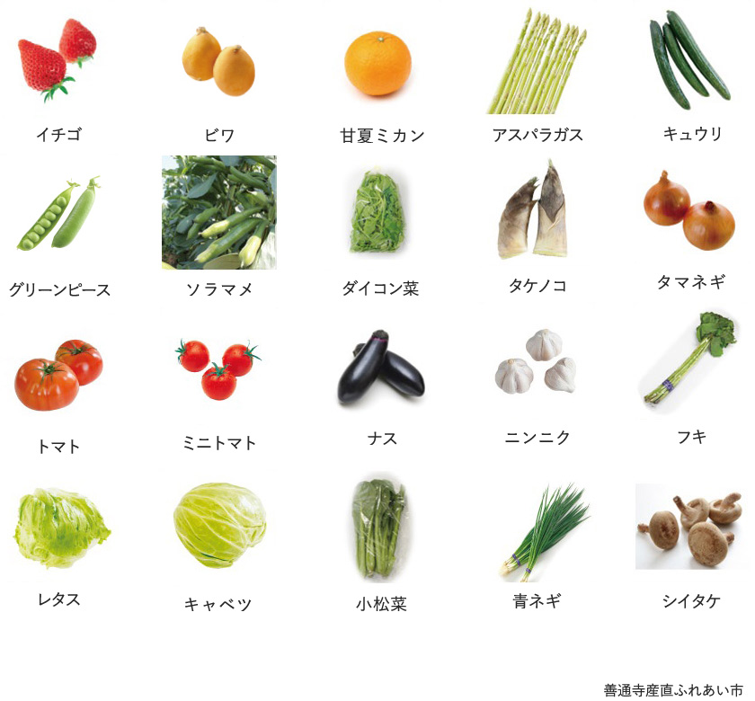 旬の農産物