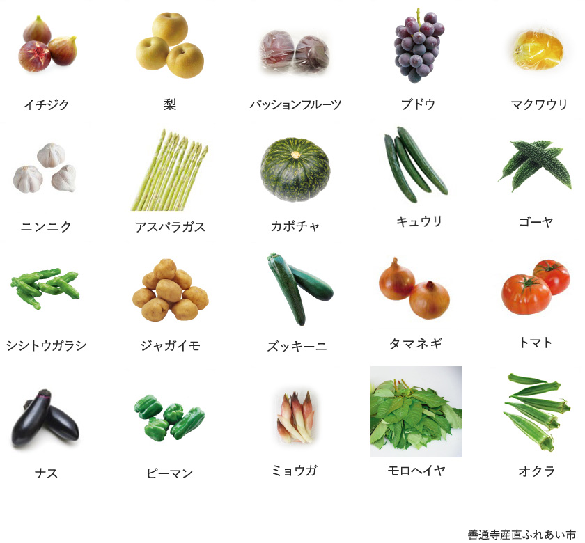 旬の農産物
