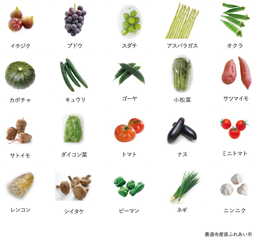 旬の農産物
