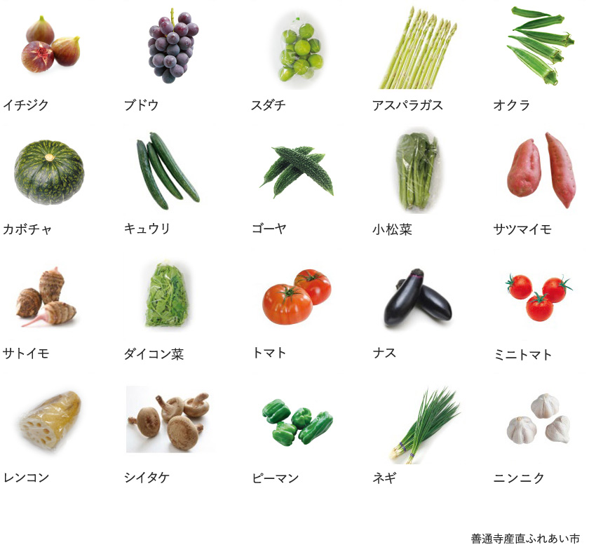 旬の農産物