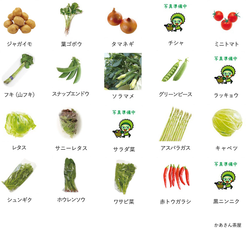 旬の農産物