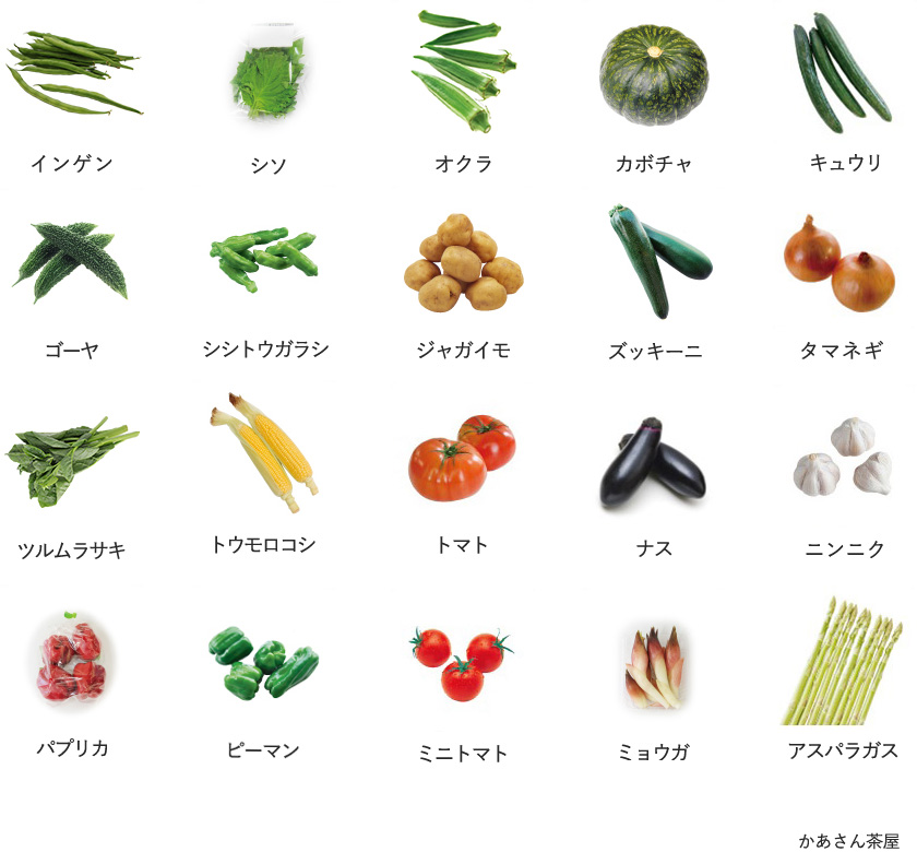 旬の農産物