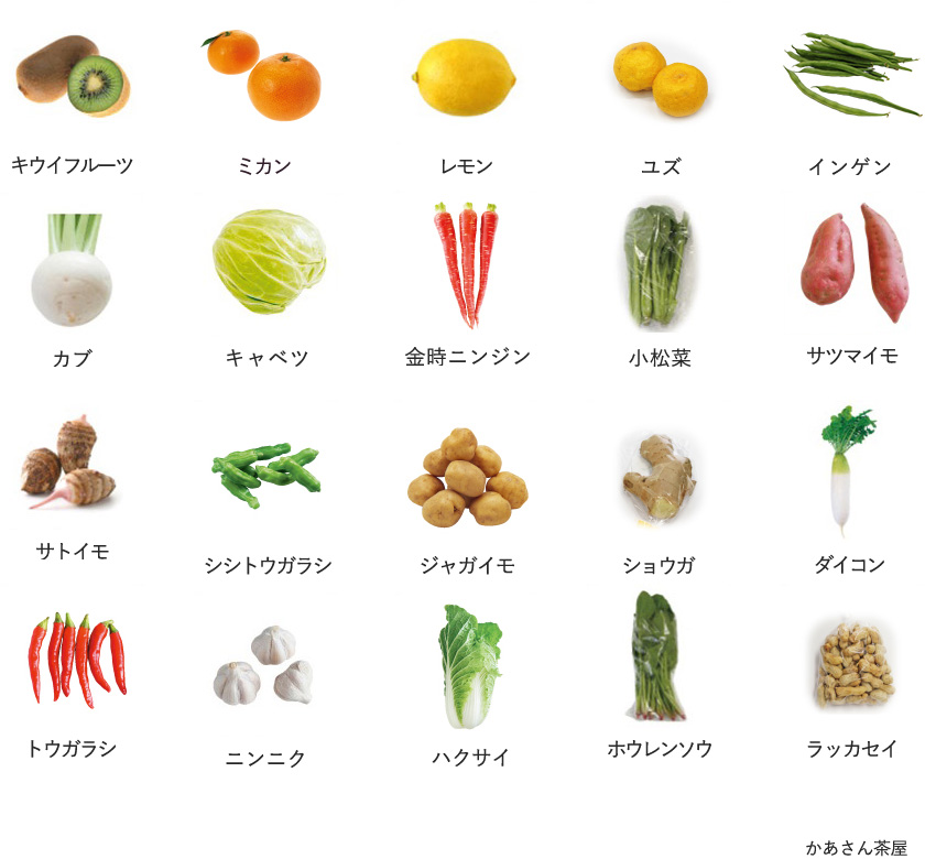 旬の農産物