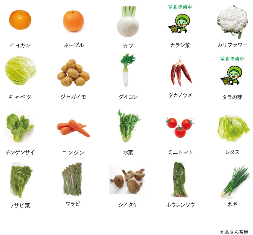 旬の農産物