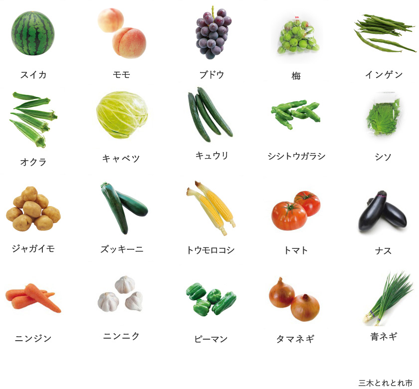 旬の農産物