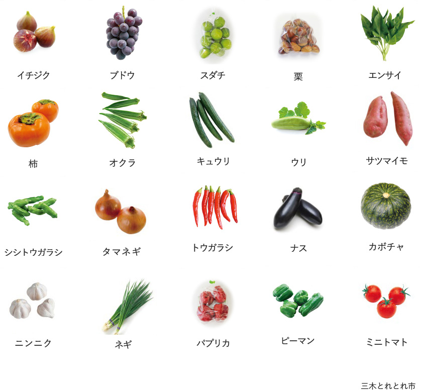 旬の農産物