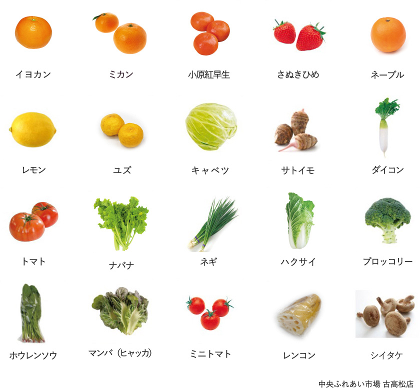 旬の農産物
