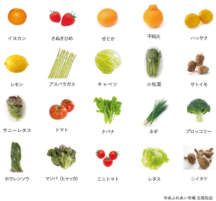 旬の農産物
