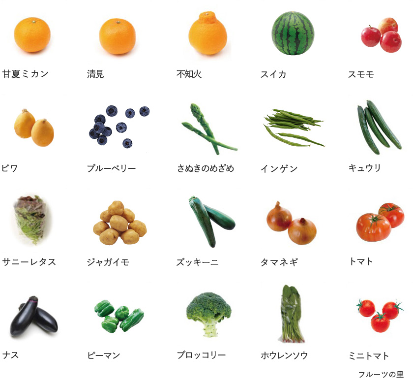 旬の農産物