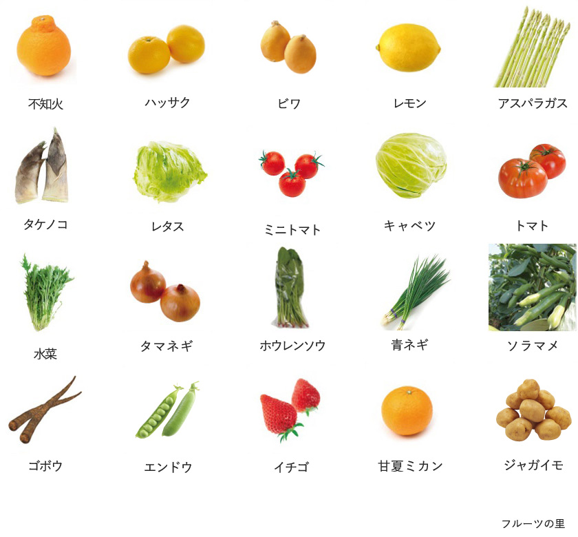 旬の農産物