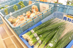 中央ふれあい市場 本店 Ja香川県 香川県農業協同組合