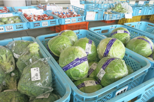 中央ふれあい市場 木太店 Ja香川県 香川県農業協同組合