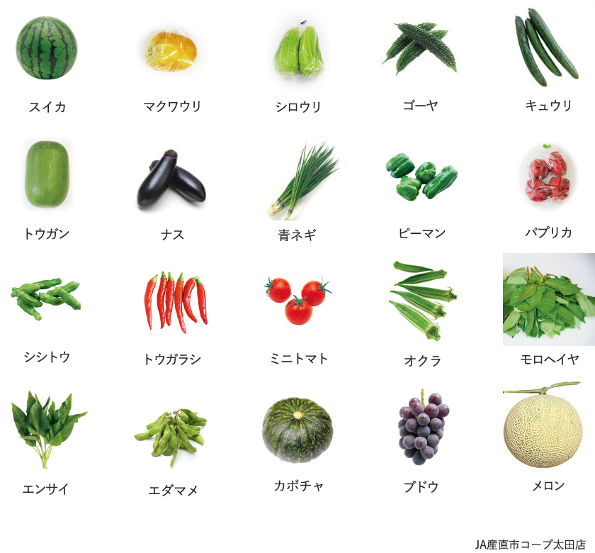 旬の農産物