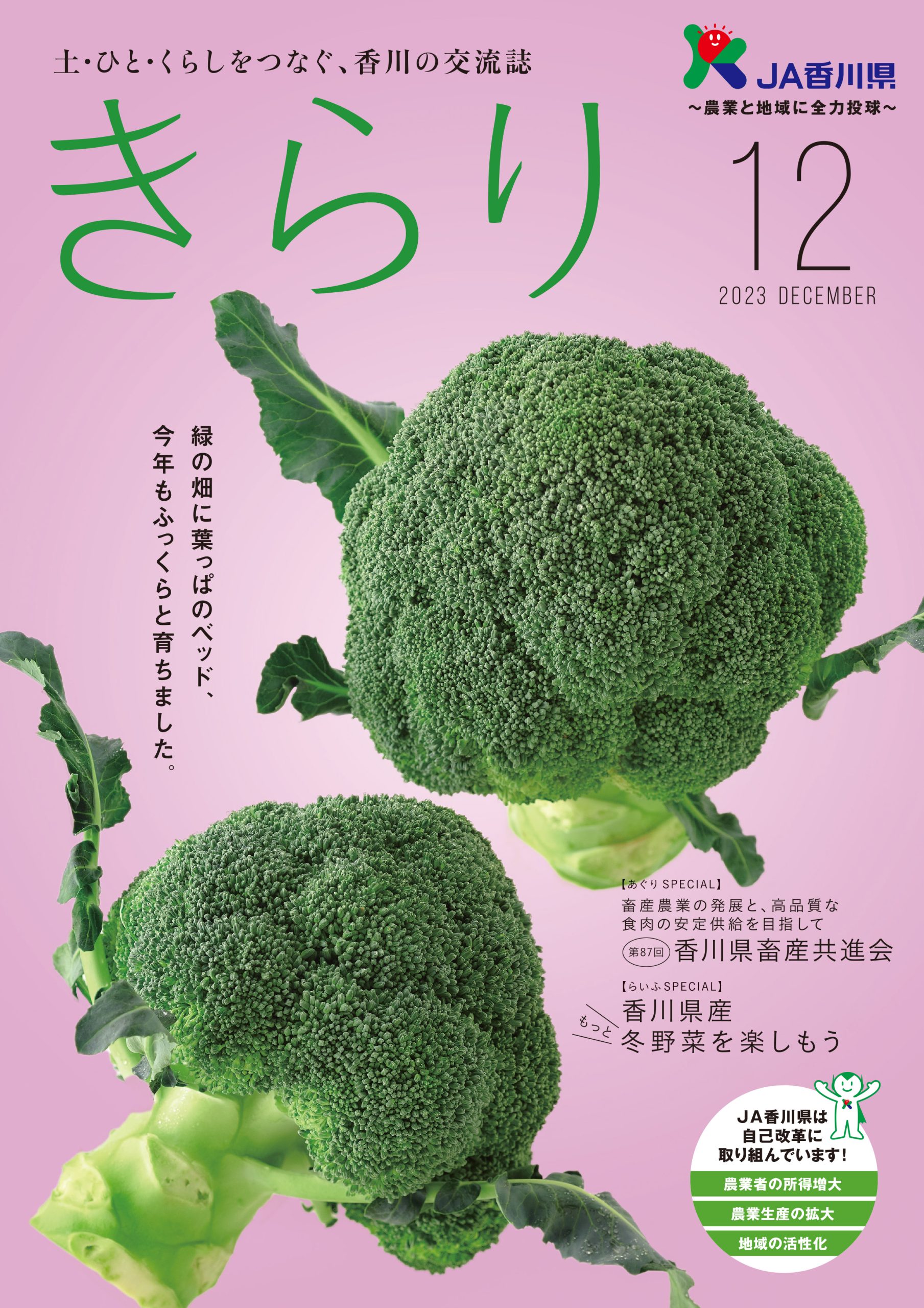 2023年12月号