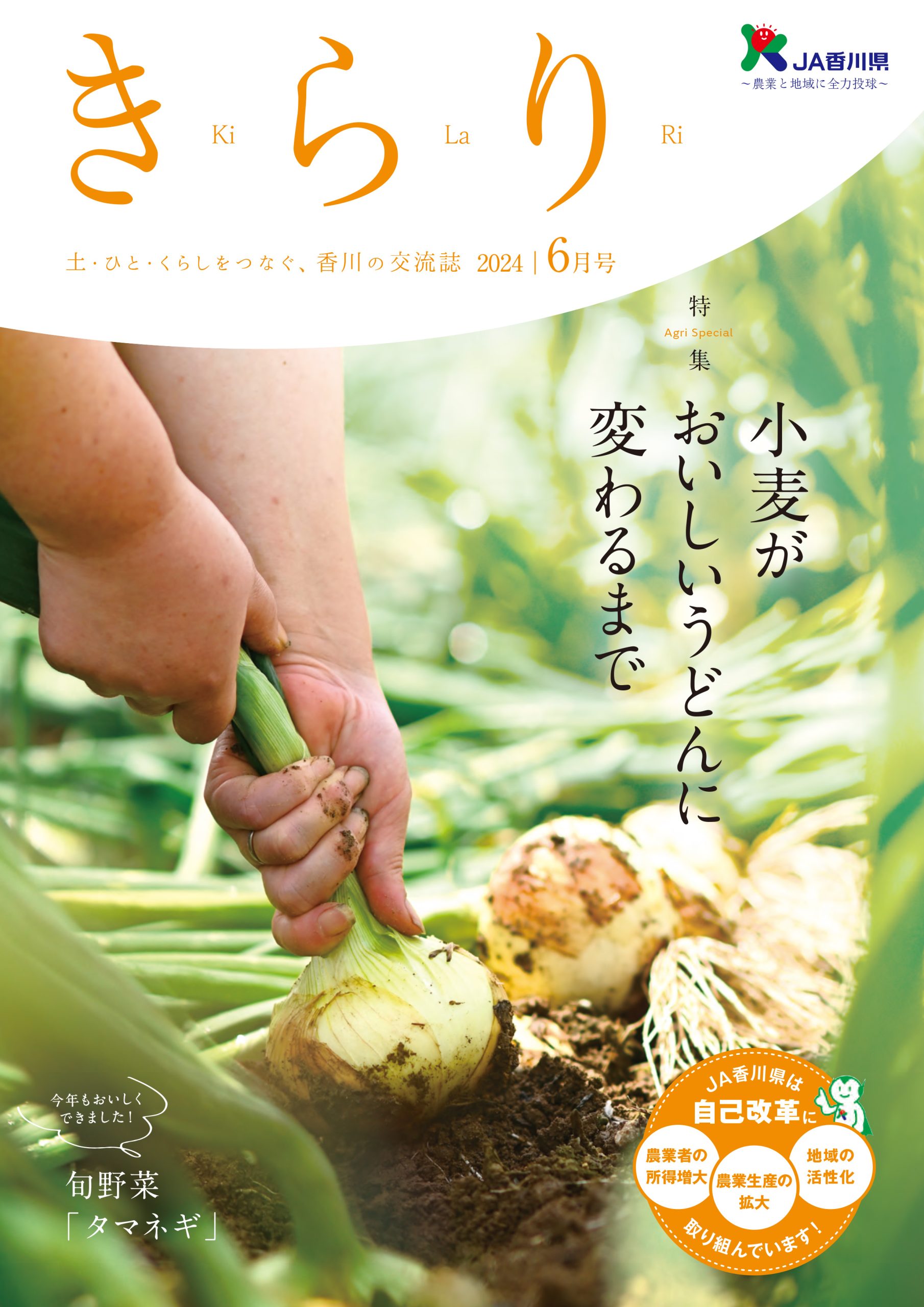 2024年6月号 2024年6月号