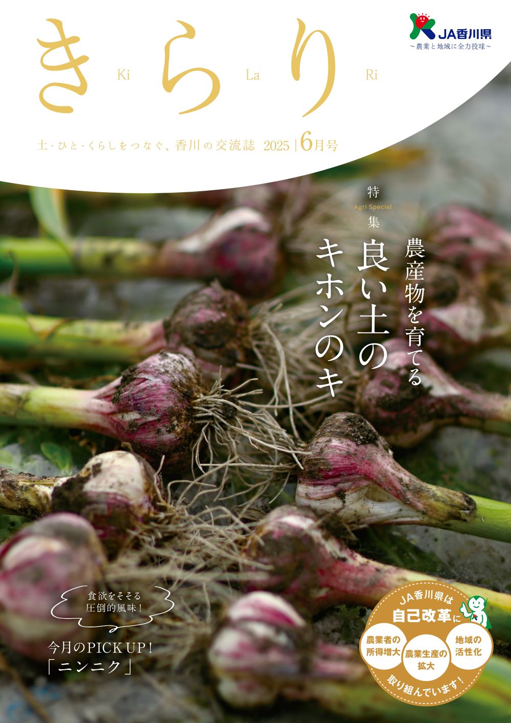 2025年6月号