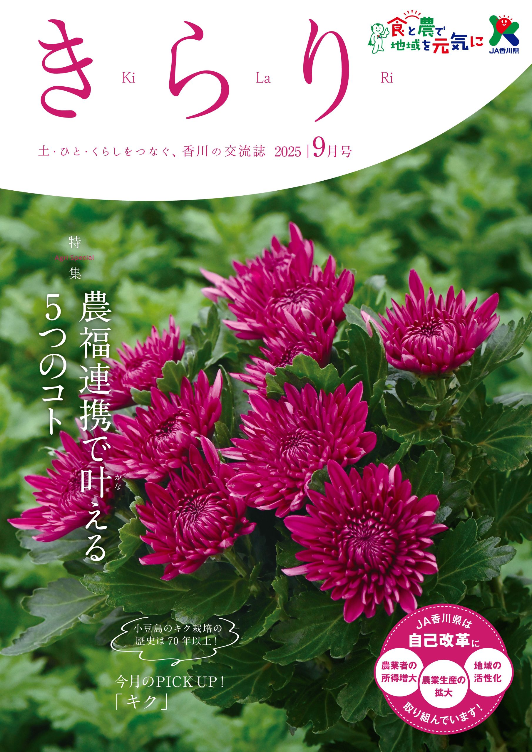 2025年9月号