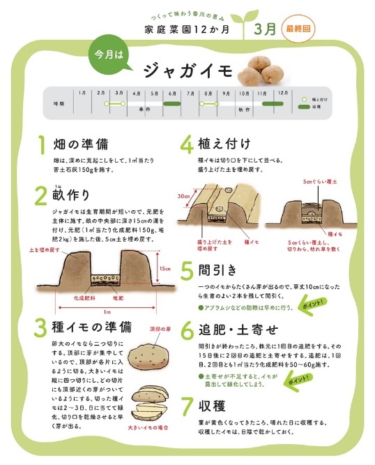 わたしの家庭菜園 ja香川県 わたしの家庭菜園 ja香川県