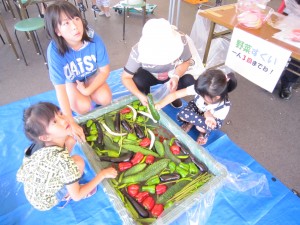 野菜すくい