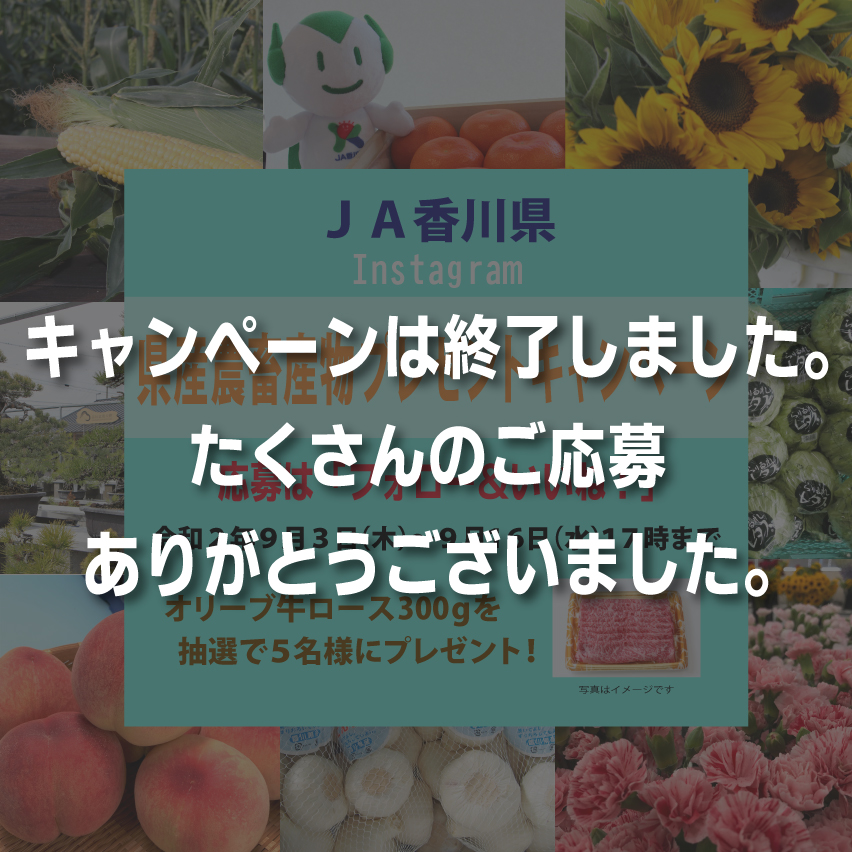 【キャンペーン終了】ＪＡ香川県インスタグラム県産農畜産物プレゼントキャンペーン